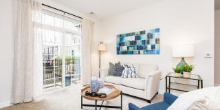 Verde at Howard Square West Gallery 5