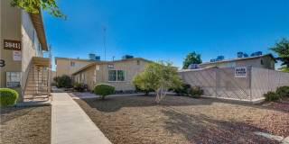 3841 Daisy Street Gallery 1