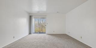 Country Woods Gallery 20