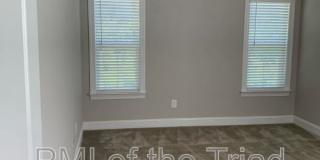 868 Silver Leaf Dr Gallery 10