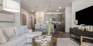 Tributary Rise Gallery 23