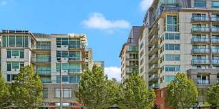 0bd/1ba Bellevue Condo Gallery 28