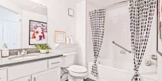 The Soleil Gallery 19