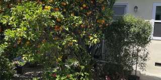 2219 Glendon Ave Gallery 2