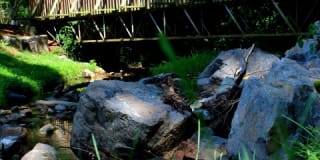 Salem Wood Gallery 18