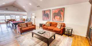 Juniper Springs Gallery 31