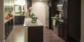 The Somerset Gallery 15