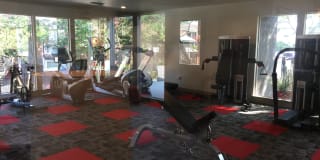 6Eleven Lamar Gallery 13