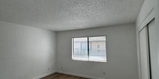 Maple Apartments Gallery 8