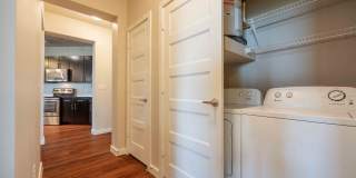 Tree Apartments Gallery 15