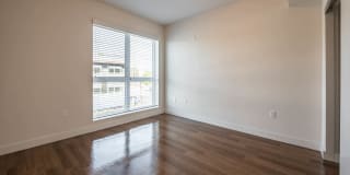 Next on Sixth Gallery 54