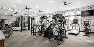 The Steadman Apartments Gallery 55