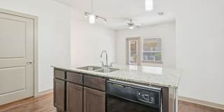 Anatole on MacArthur Gallery 7