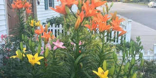 848 Main St. Gallery 1