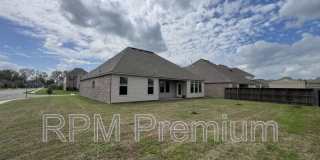 2123 Westfield Ave. Gallery 44