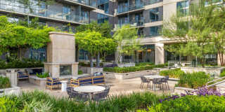 Northshore Gallery 24