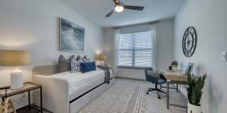 Tacara at Stone Oak Gallery 33