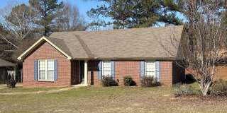 AVAILABLE NOW! Gallery 1