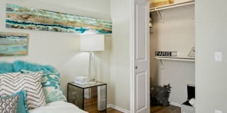 Domain 3201 Gallery 29