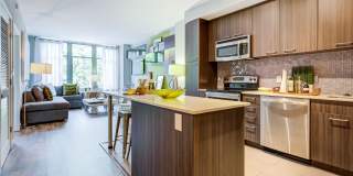 Tellus Apartments Gallery 3