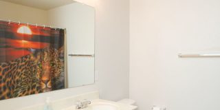 Rental Property in Converse available for ASAP move in! Gallery 28