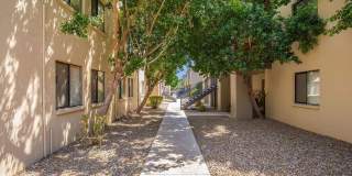 Palm Desert Gallery 17