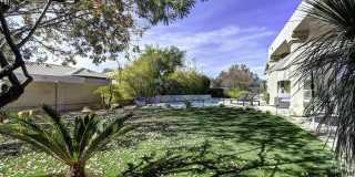 12113 E SAHUARO Drive Gallery 74