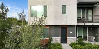 225 Steely Gallery 1