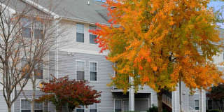 Affordable Housing - Dulles Center Gallery 12