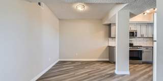 Rise Spring Pointe Gallery 52