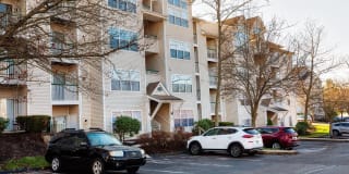 Town Walk at Hamden Hills Gallery 49