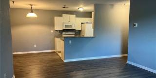 10265 Gandy Boulevard North - 11709 Gallery 8