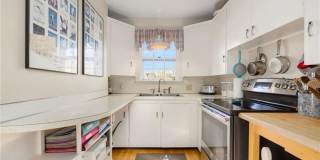 9 White Terrace Gallery 26