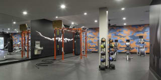 Palomar Station Gallery 26