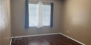 15177 Dandelion Gallery 16