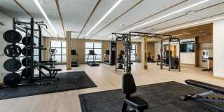 Windsor Commons Gallery 22