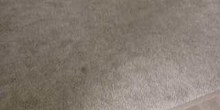 304 Gray Fox Court Gallery 13