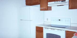 Mill Pond accross from G'ville Health and Fitness Gallery 11