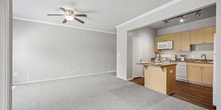 The Residences at Holland Lake Gallery 4