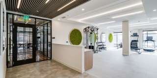 Nolan Mains Gallery 68