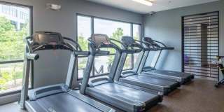 Mira Upper Rock Gallery 68