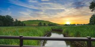 The Hartlan Gallery 50