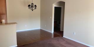 Beautiful Condo! Gallery 15