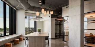 Olive Gallery 15