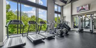 The James Gallery 13