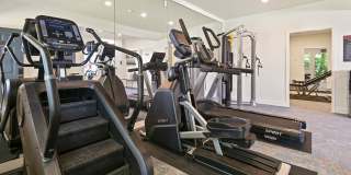 Overlander Gallery 5