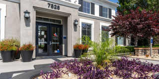 Villas at the Gardens Gallery 15