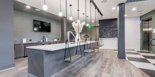 Novel Cary Gallery 49