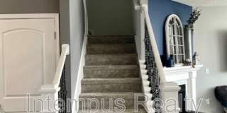 260 Winter Shadow Loop Gallery 28
