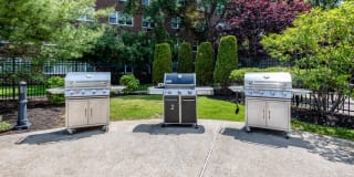 Walden Park Gallery 17